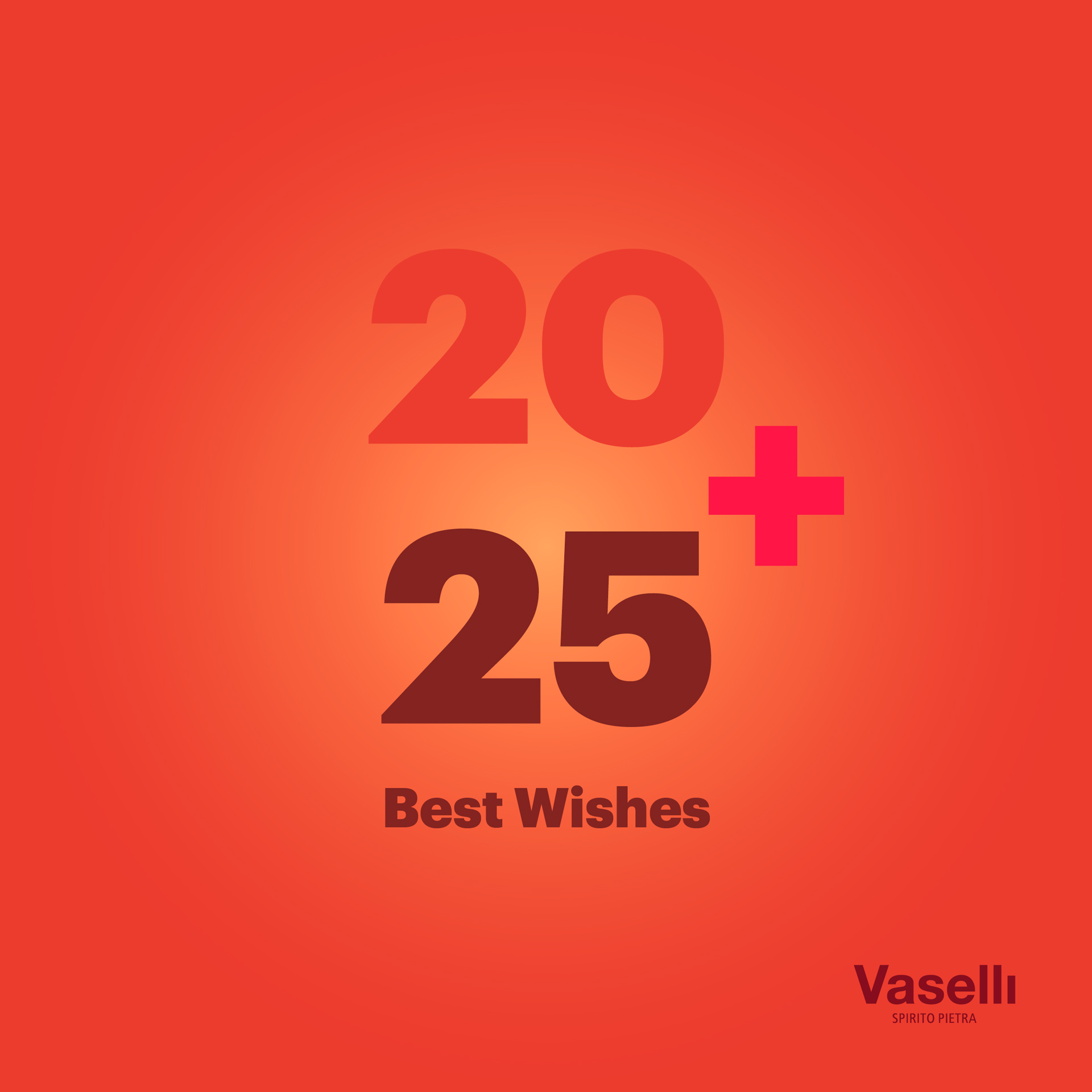 winter break 2025 vaselli